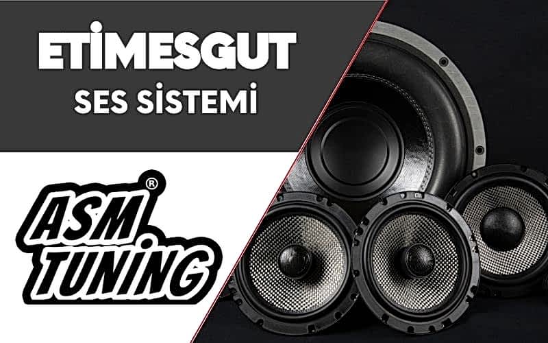 Etimesgut Ses Sistemi